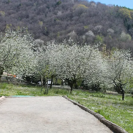 La Corte Dei Rho * Tavernerio