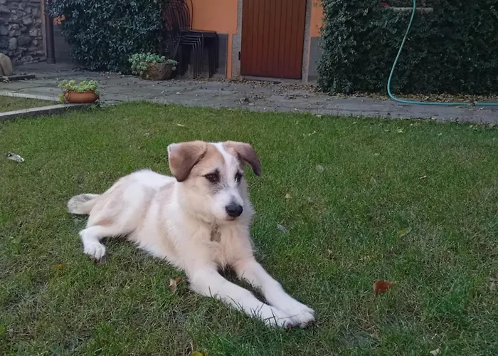 La Corte Dei Rho Hébergement de vacances *